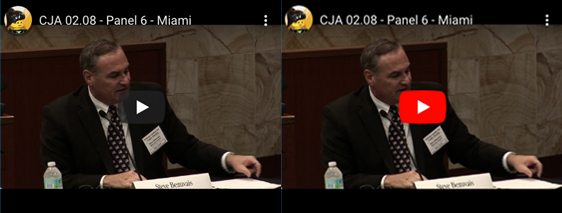 Gil Schaffnit Panel Member On The Cardone Committee